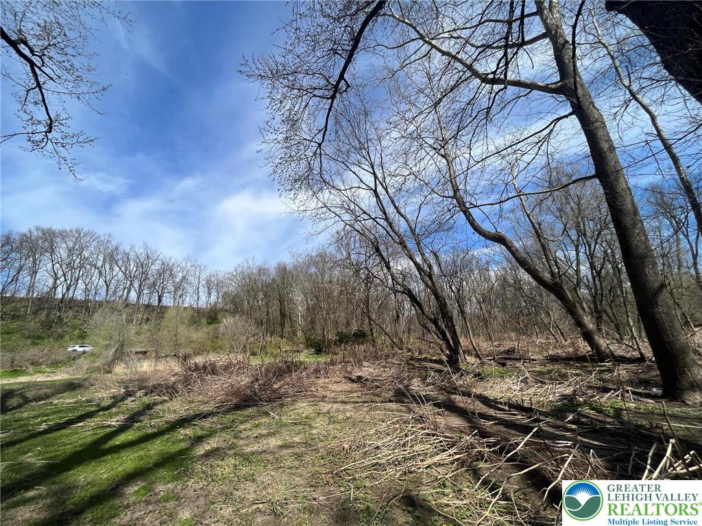 5675 Depues Road Bangor, PA 18013 - Photo 4 of 16 a view of a yard with a tree