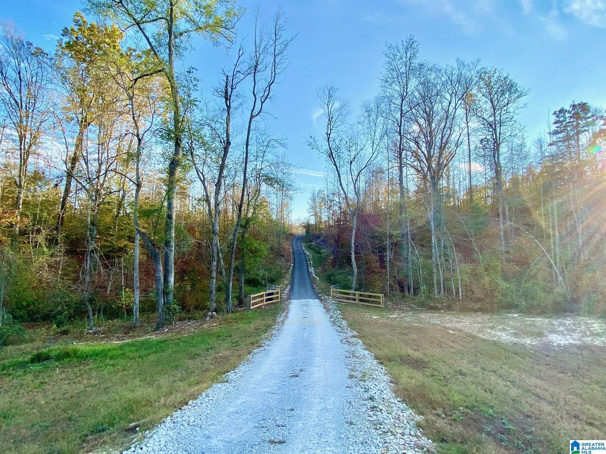 325 County Road 13 Heflin, AL 36264 - Photo 1 of 56