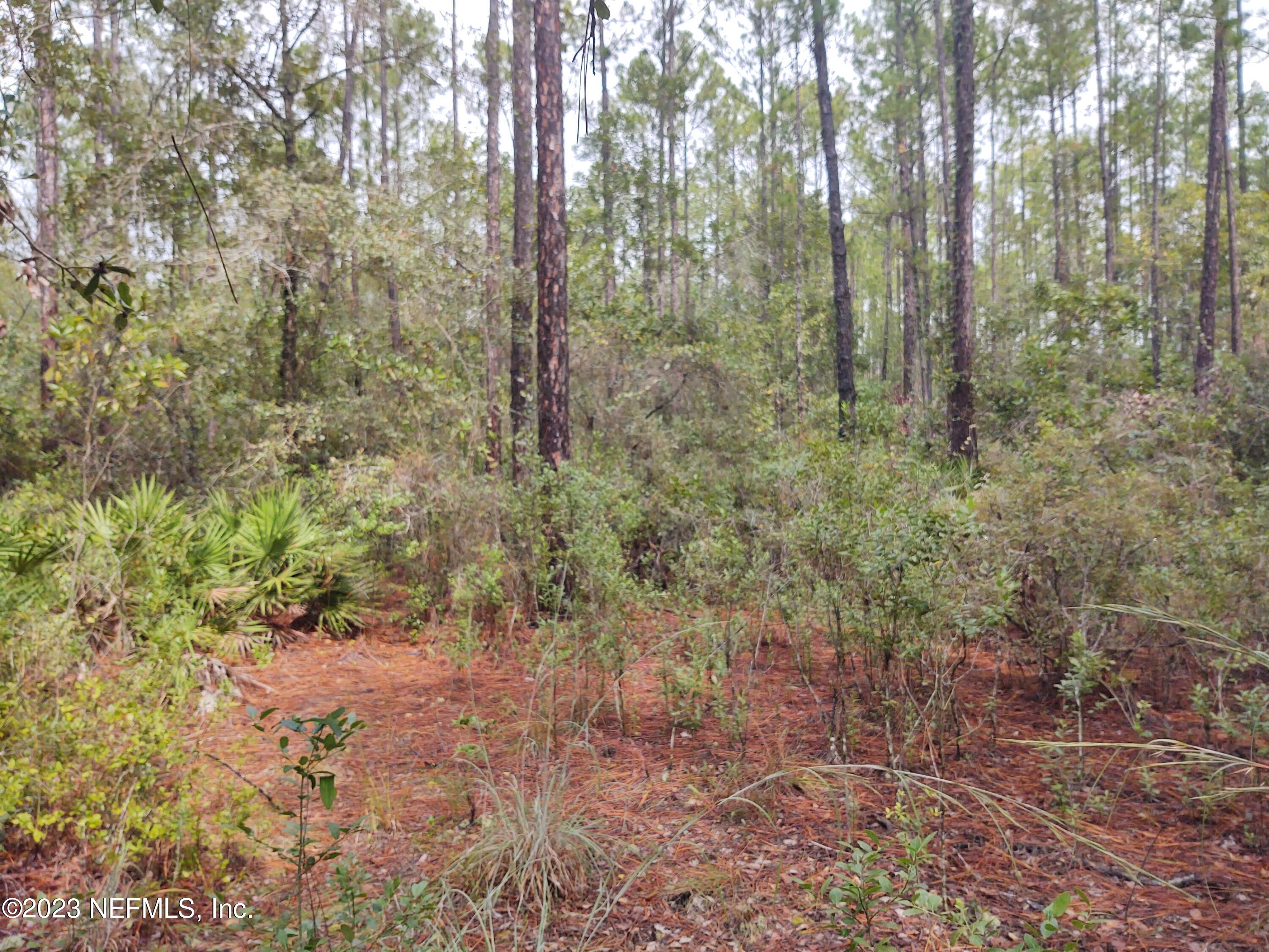 0 Jones Creek Road Keystone Heights, FL 32656 - Photo 4 of 4 IMG_20231012_123416685