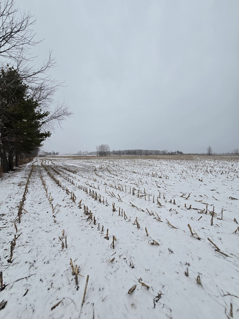 Carnot Road Forestville, WI 54213 - Photo 2 of 7