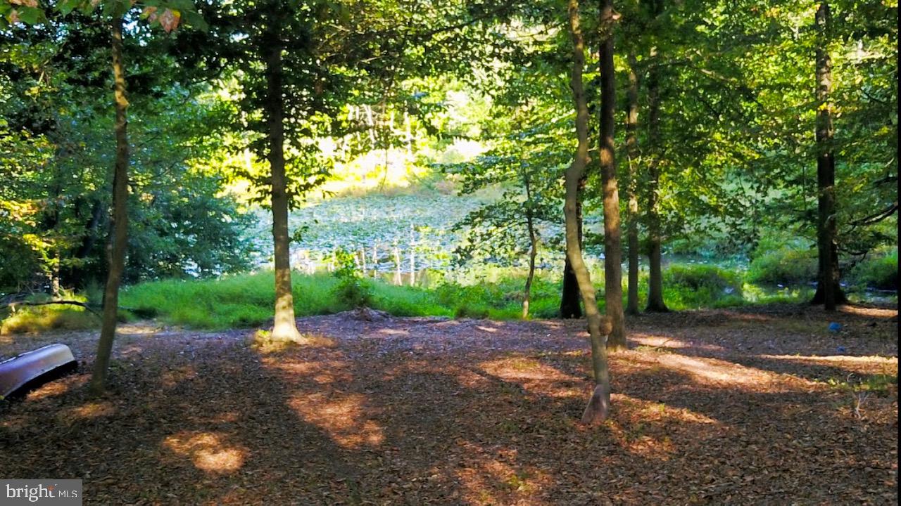 111 Waterworks Road Quinton, NJ 08079 - Photo 3 of 36 lake view