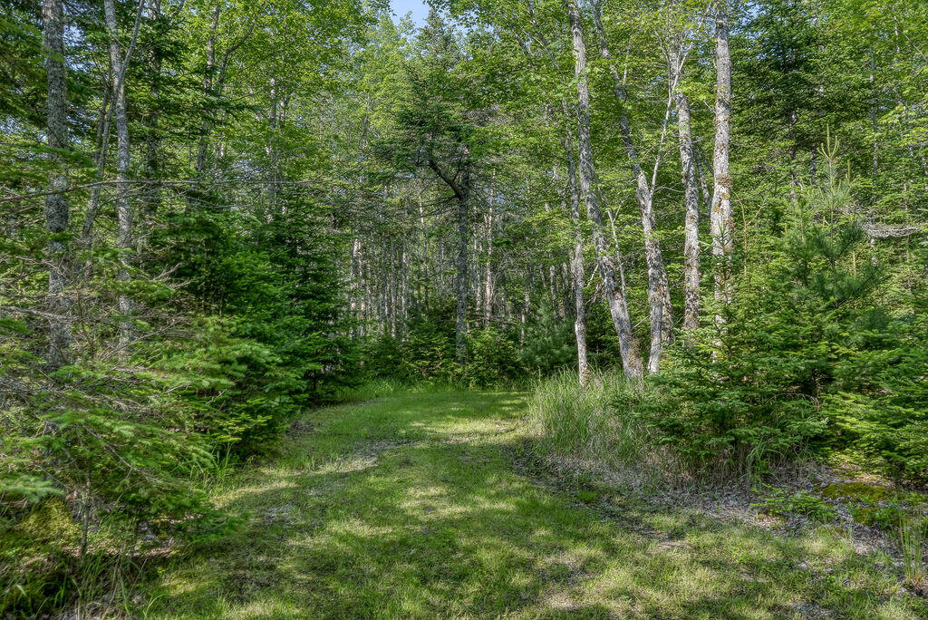 402 Reach Road Deer Isle, ME 04627 - Photo 9 of 15 402ReachRd-9