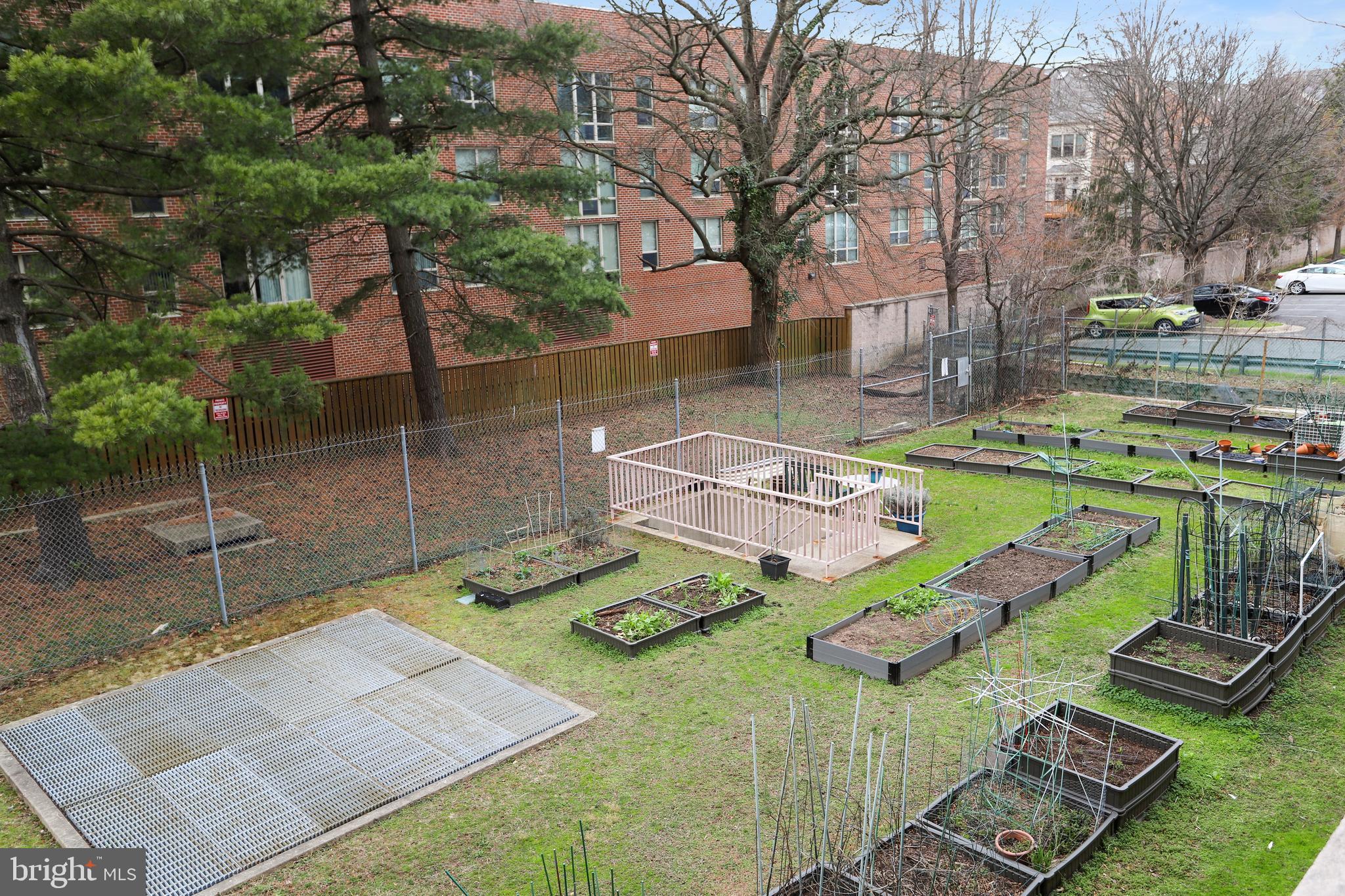 4141 North Henderson Road, Unit 322 Arlington, VA 22203 - Photo 42 of 53 Exercise your green thumb in the Community Garden.