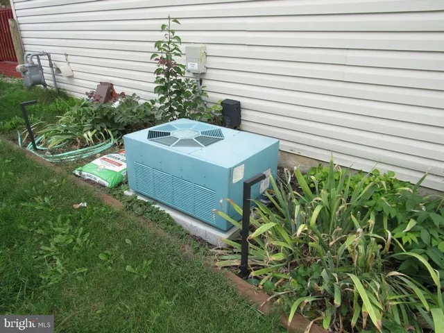a view of a backyard with plants