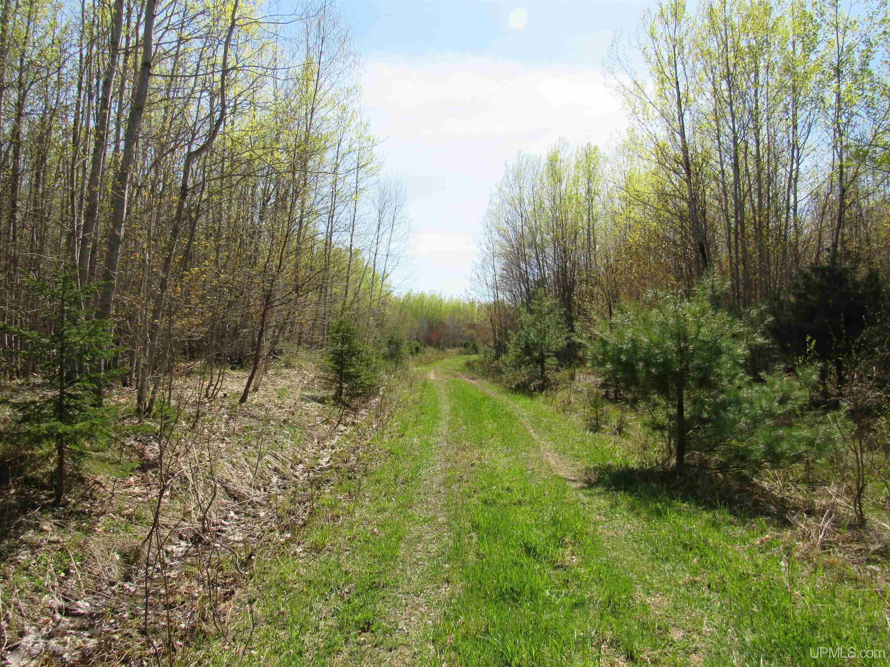 Tbd Off Rice Lake Road, Unit NO DRIVE BYS Lake Linden, MI 49945 - Photo 3 of 40