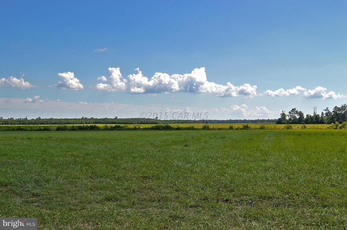 34119 Wango Road Parsonsburg, MD 21849 - Photo 9 of 12 Gallery Image 9