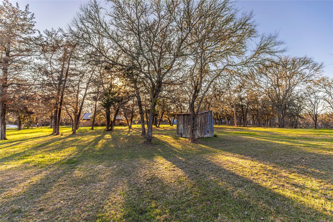 125 Forrest Lane Brenham, TX 77833 - Photo 2 of 13 a view of swimming pool with trees in the background