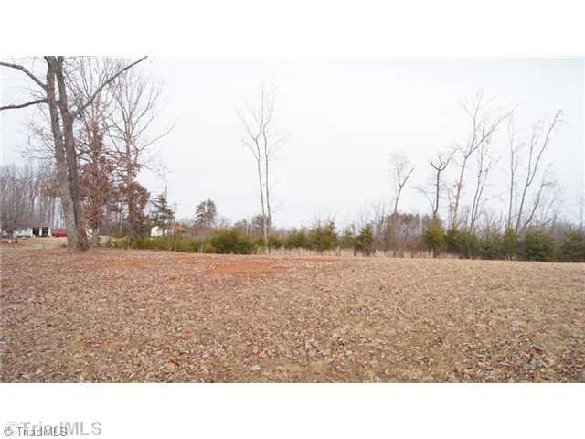 1494 Hope Beasley Road Sandy Ridge, NC 27046 - Photo 4 of 4 Land.