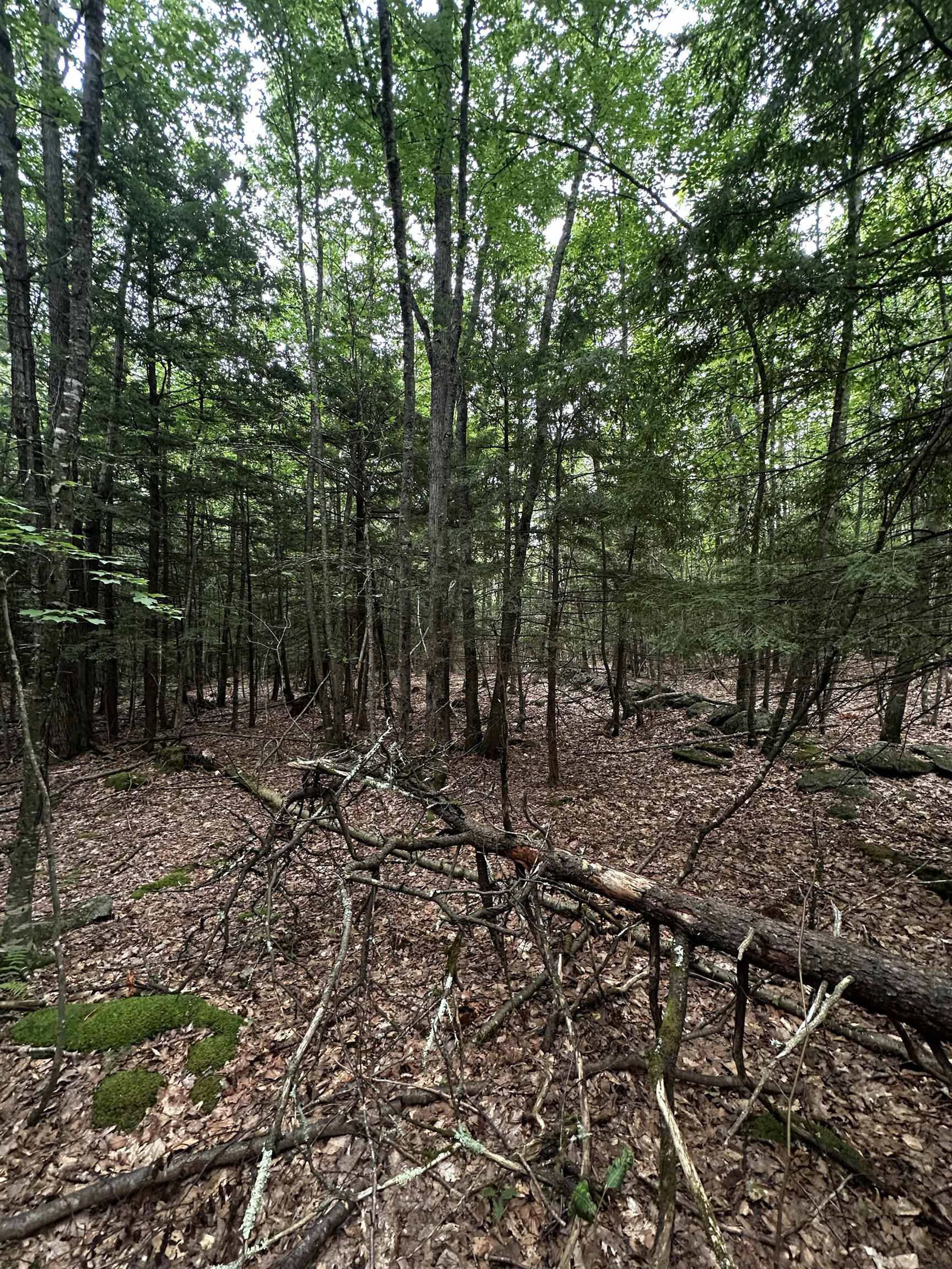 877 North Barnstead Road Barnstead, NH 03225 - Photo 8 of 12