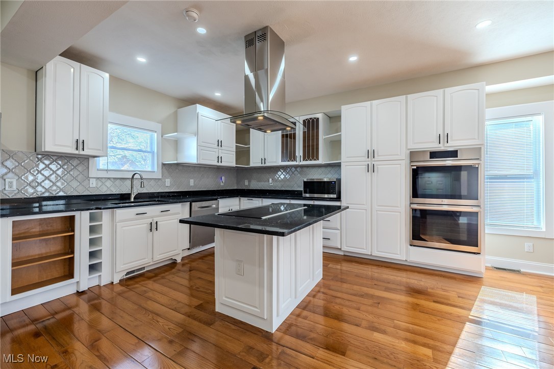 3516 Broadview Road Cleveland, OH 44109 - Photo 13 of 42 Kitchen featuring open shelves, light wood-type flooring, island range hood, stainless steel appliances, and a sink