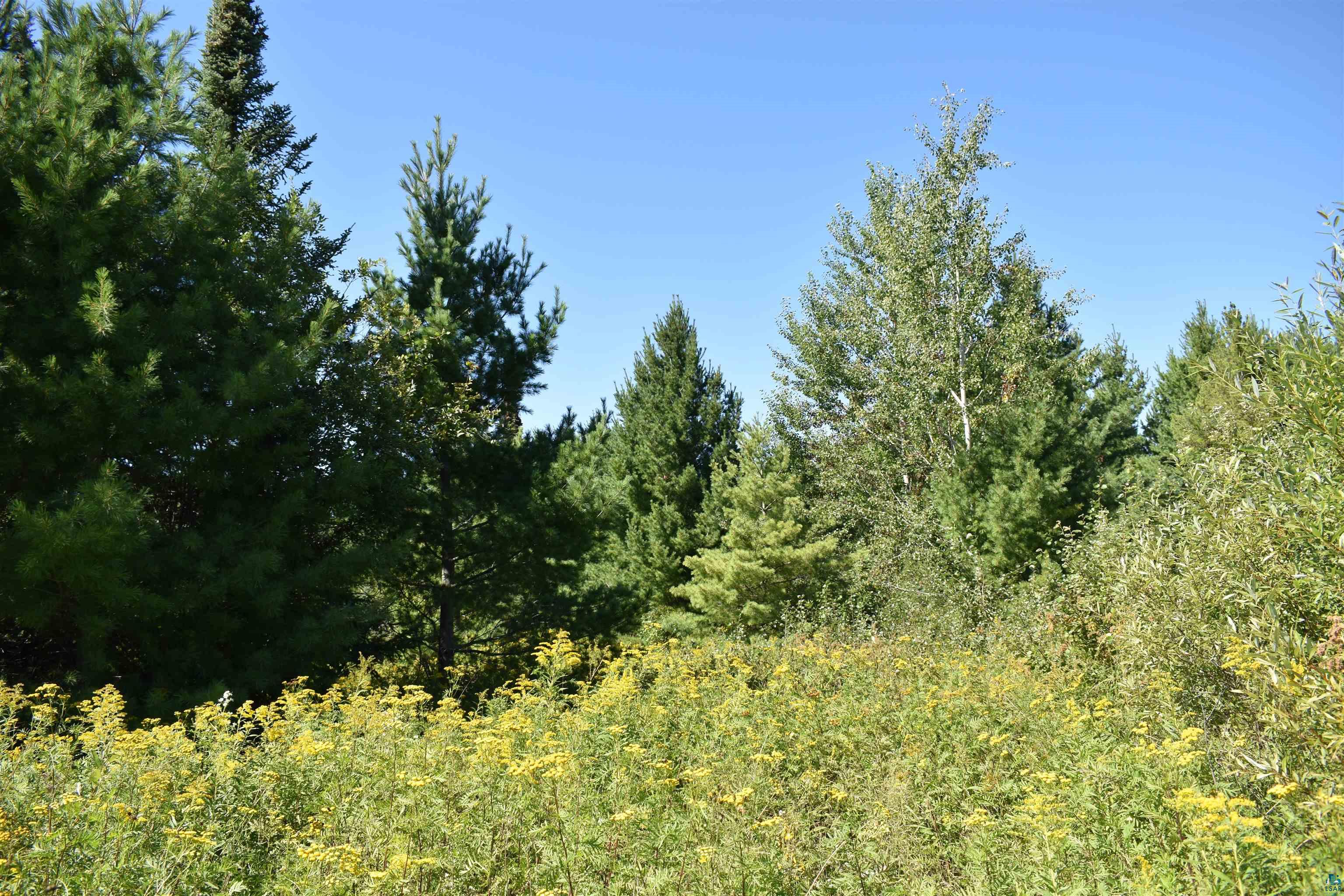 30210 Wannebo Road Washburn, WI 54891 - Photo 11 of 24