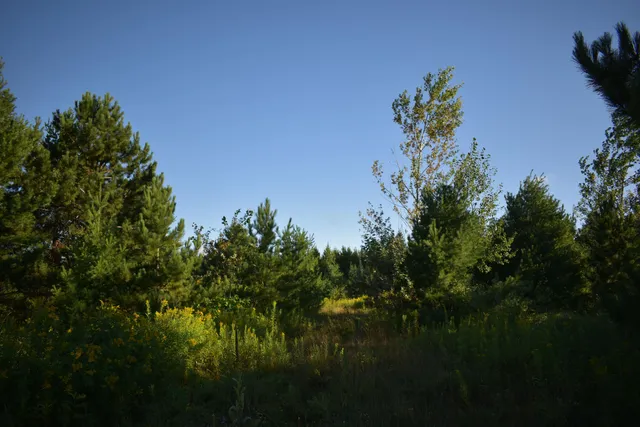 $234,900 | 30210 Wannebo Road, Washburn, WI 54891