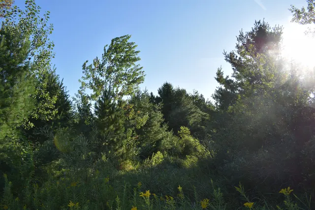 $234,900 | 30210 Wannebo Road, Washburn, WI 54891