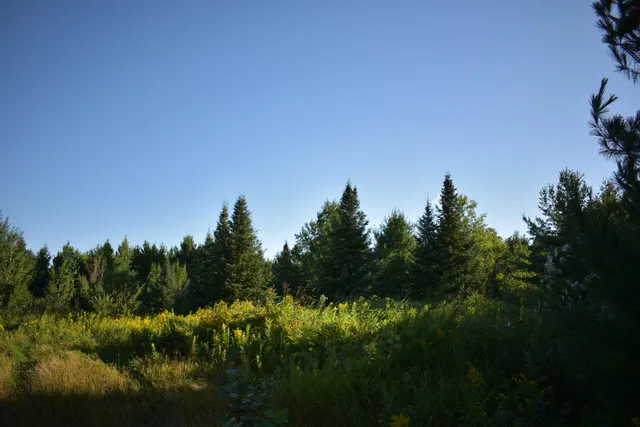 $234,900 | 30210 Wannebo Road, Washburn, WI 54891