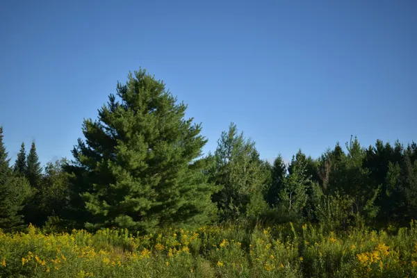 $234,900 | 30210 Wannebo Road, Washburn, WI 54891