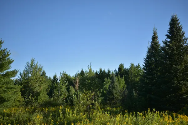 $234,900 | 30210 Wannebo Road, Washburn, WI 54891