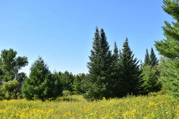 $234,900 | 30210 Wannebo Road, Washburn, WI 54891