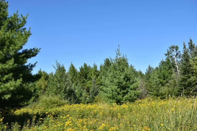 $234,900 | 30210 Wannebo Road, Washburn, WI 54891