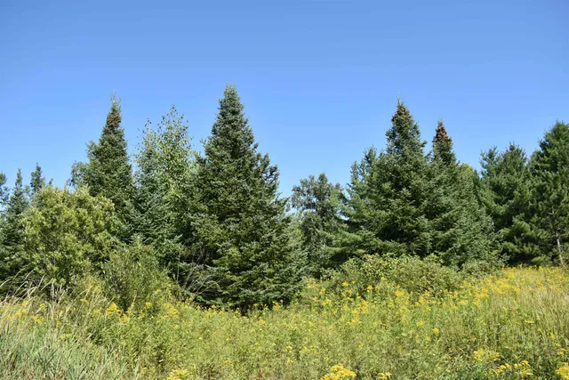 $234,900 | 30210 Wannebo Road, Washburn, WI 54891