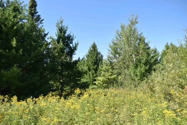 $234,900 | 30210 Wannebo Road, Washburn, WI 54891