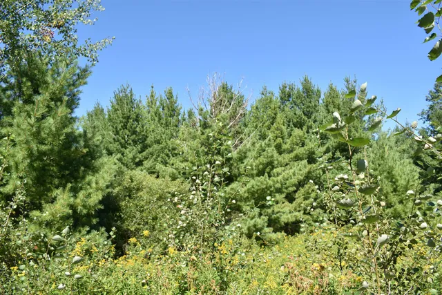 $234,900 | 30210 Wannebo Road, Washburn, WI 54891