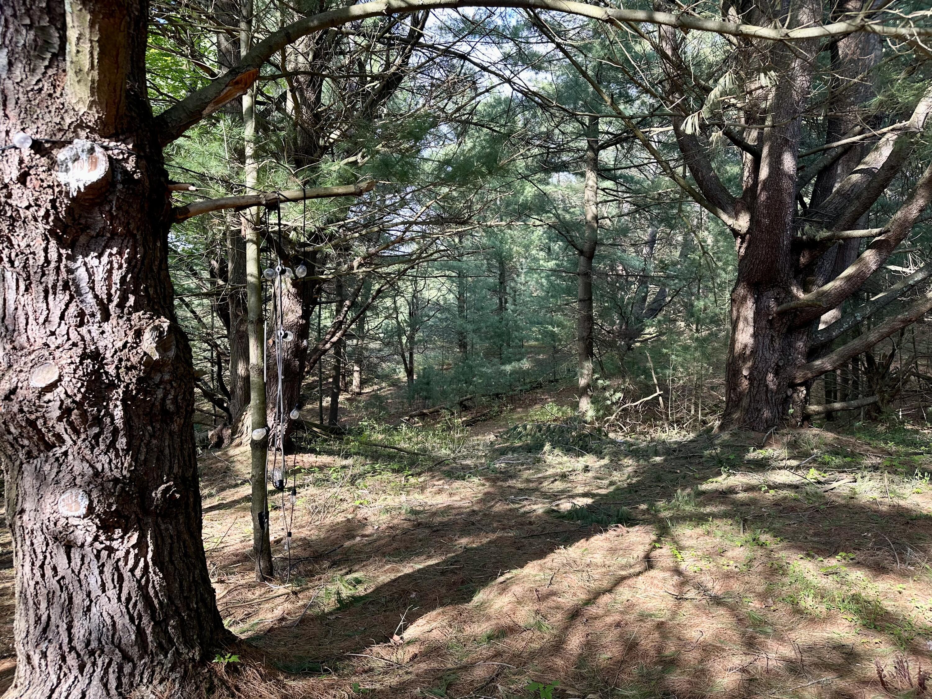 3601 Madison Road Manistee, MI 49660 - Photo 42 of 44 IMG_8184