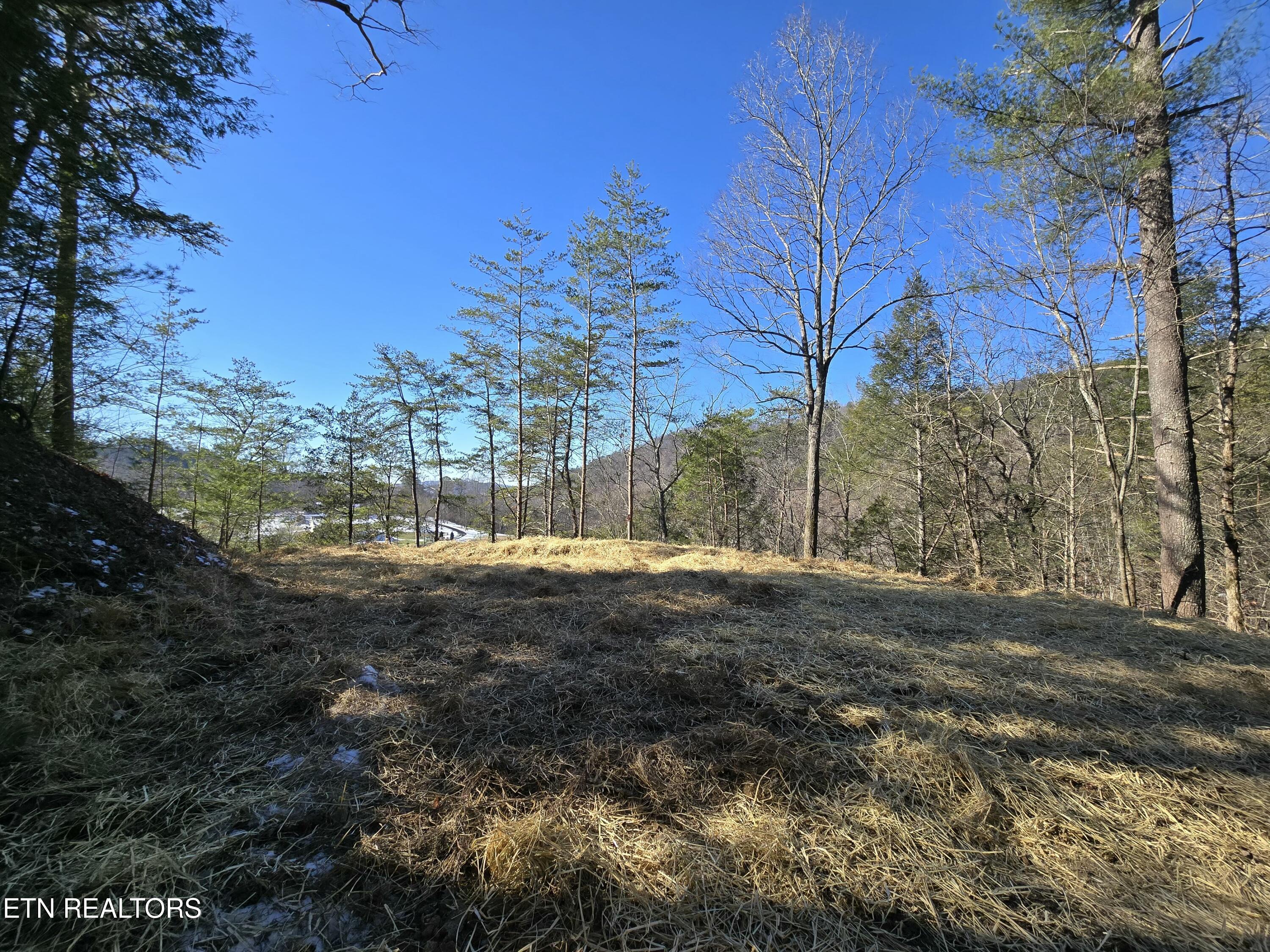 1184 Shell Mountain Road Sevierville, TN 37876 - Photo 1 of 10 tempImageD7I1VH