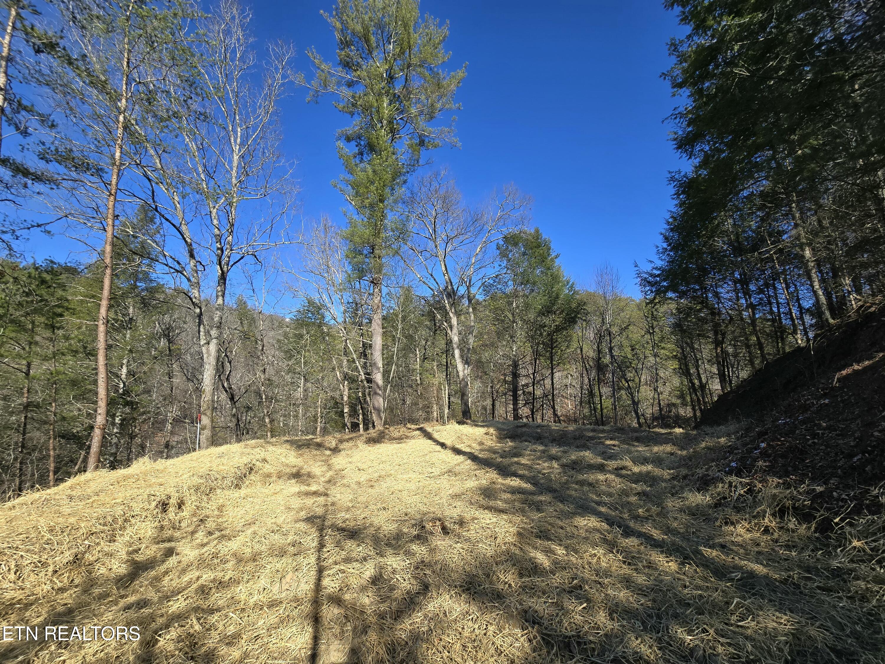 1184 Shell Mountain Road Sevierville, TN 37876 - Photo 5 of 10 tempImageM6jT0j