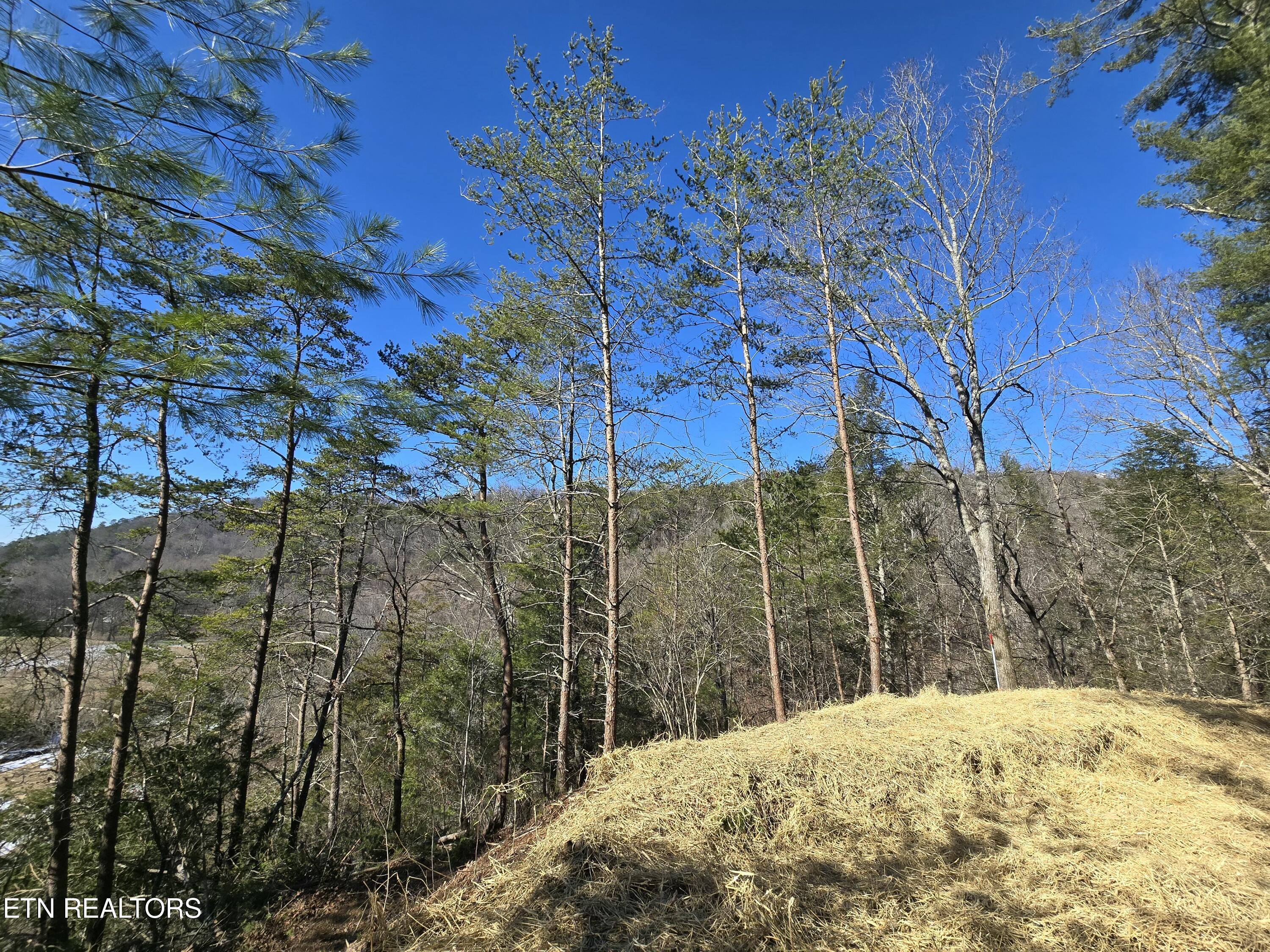 1184 Shell Mountain Road Sevierville, TN 37876 - Photo 6 of 10 tempImageD3tlh9