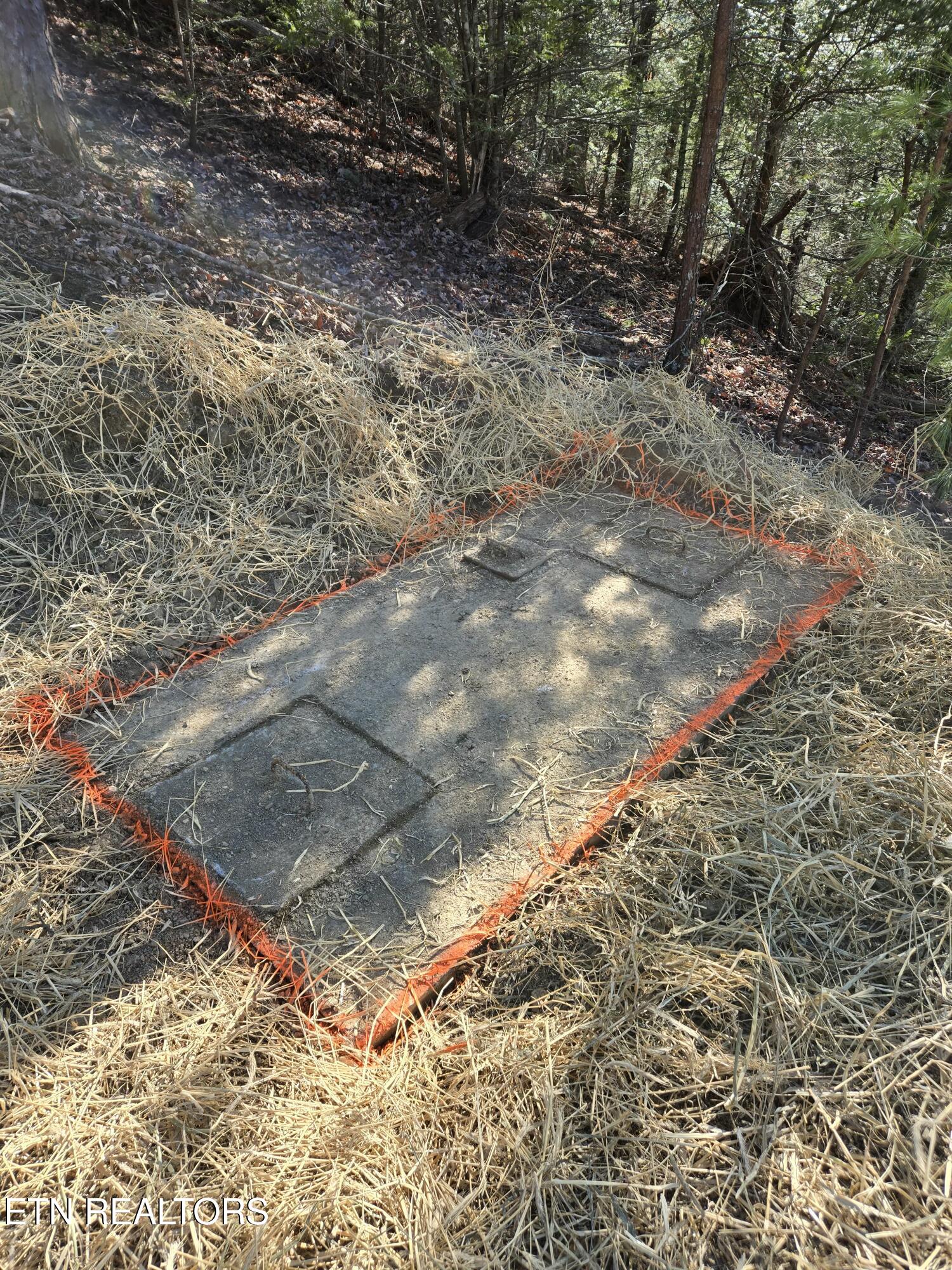 1184 Shell Mountain Road Sevierville, TN 37876 - Photo 7 of 10 tempImageGGGDPm