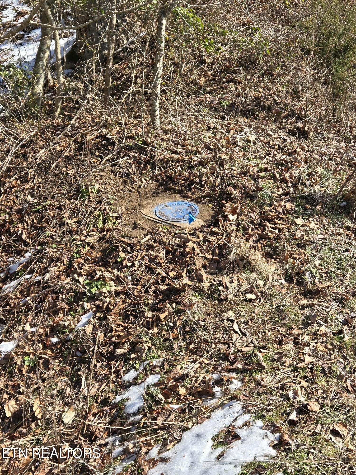 1184 Shell Mountain Road Sevierville, TN 37876 - Photo 8 of 10 tempImage6JLQmY