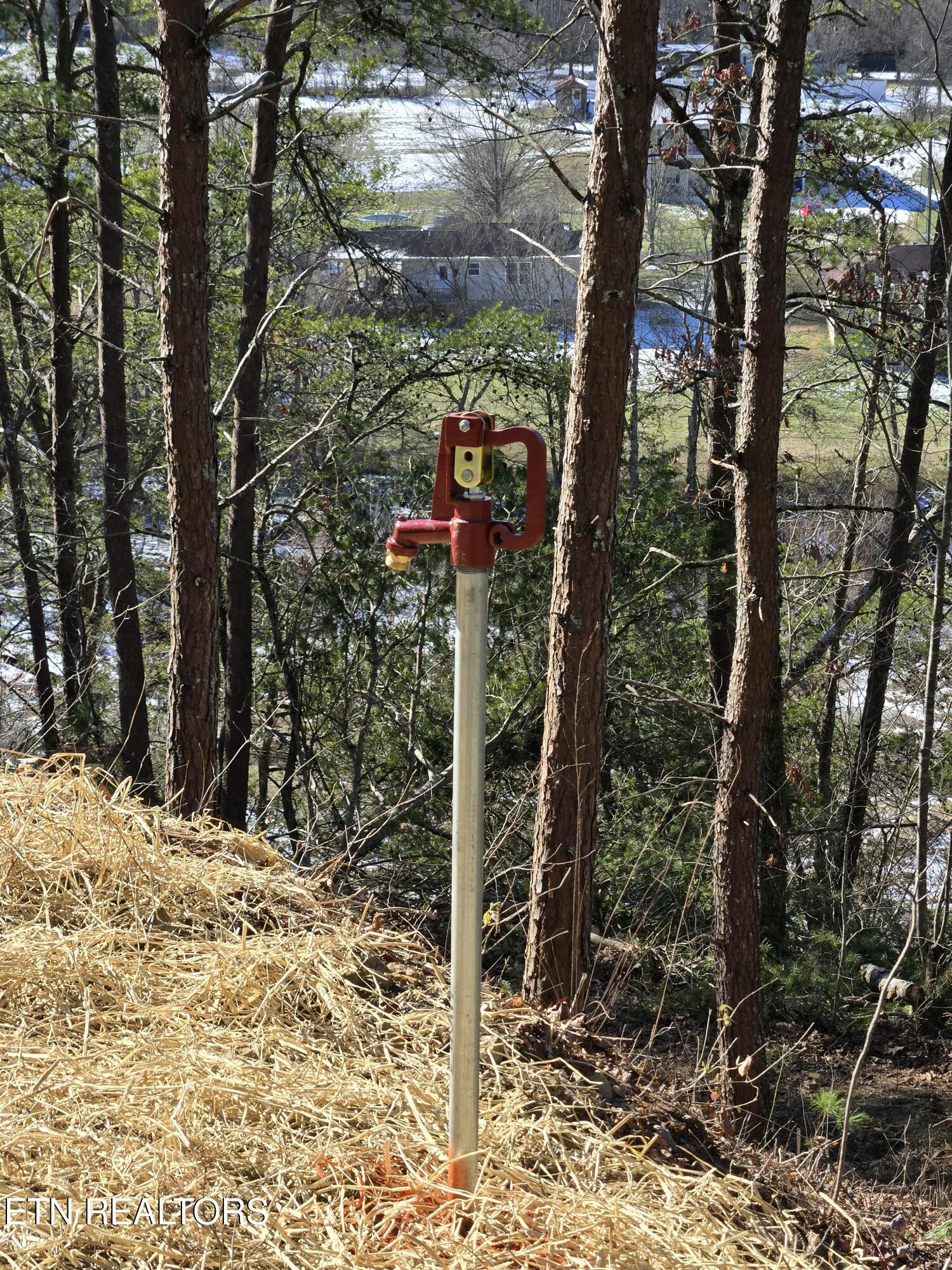 1184 Shell Mountain Road Sevierville, TN 37876 - Photo 9 of 10 tempImageFLwXuX