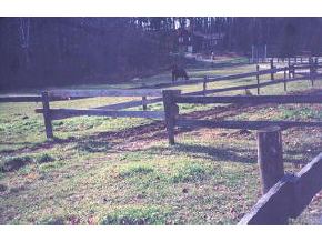 217 Depot Road Hollis, NH 03049 - Photo 1 of 2