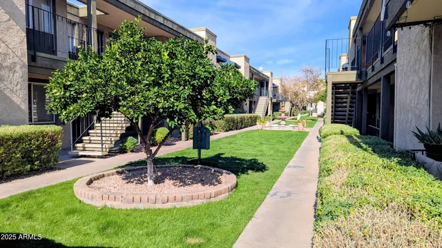 a view of a backyard with plants and brick walls