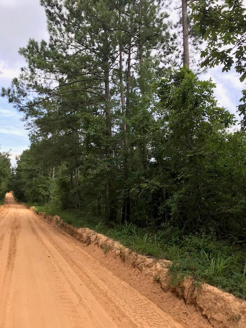 0 Harness Road Batesburg, SC 29006 - Photo 12 of 18