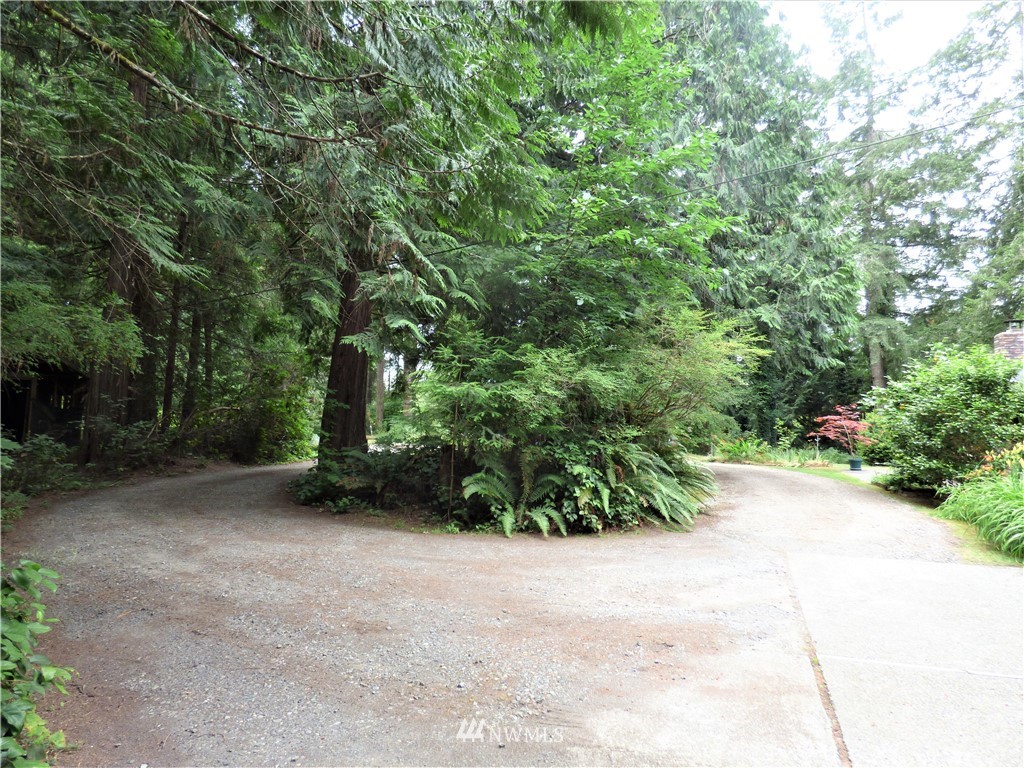 4025 Libby Road Northeast Olympia, WA 98506 - Photo 4 of 24 Gallery Image 4