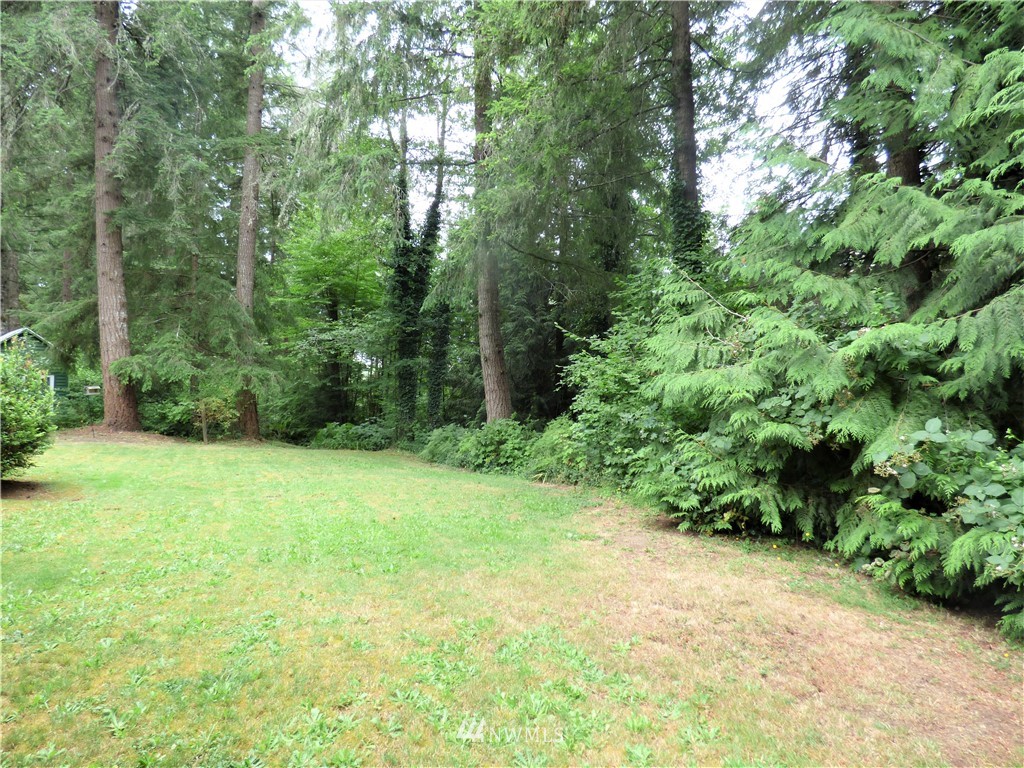 4025 Libby Road Northeast Olympia, WA 98506 - Photo 6 of 24 Gallery Image 6