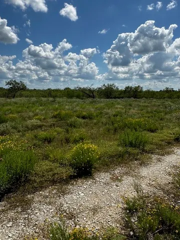 $160,000 | Lot 2 County Road 420, Waelder, TX 78959