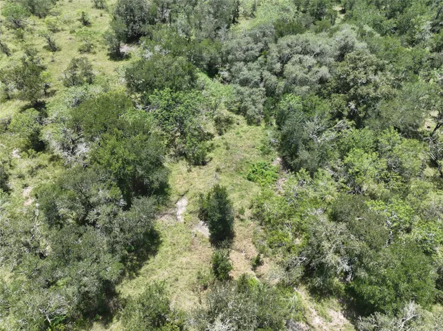 $160,000 | Lot 2 County Road 420, Waelder, TX 78959