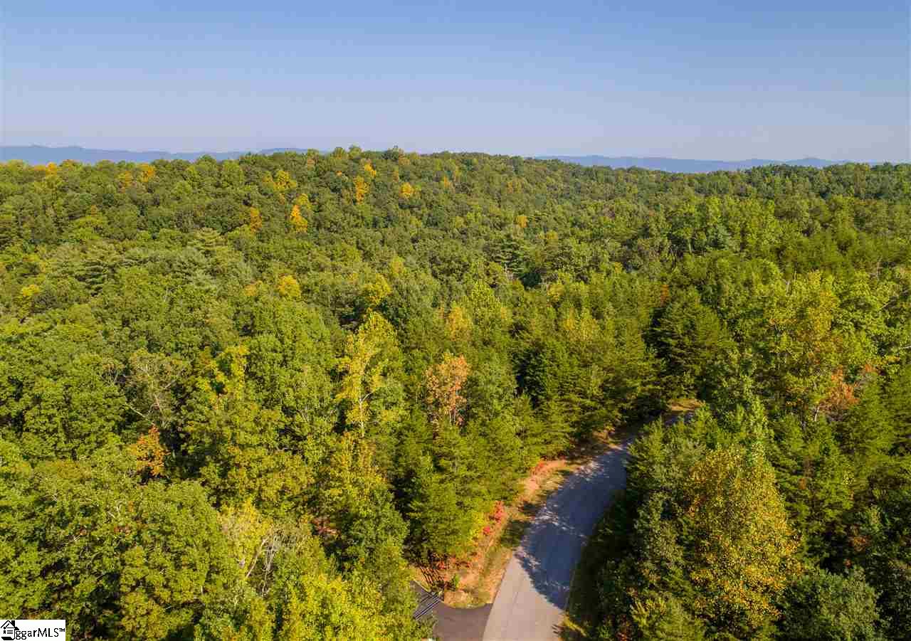 Sawblade Ridge Marietta, SC 29661 - Photo 1 of 3 Gallery Image 1
