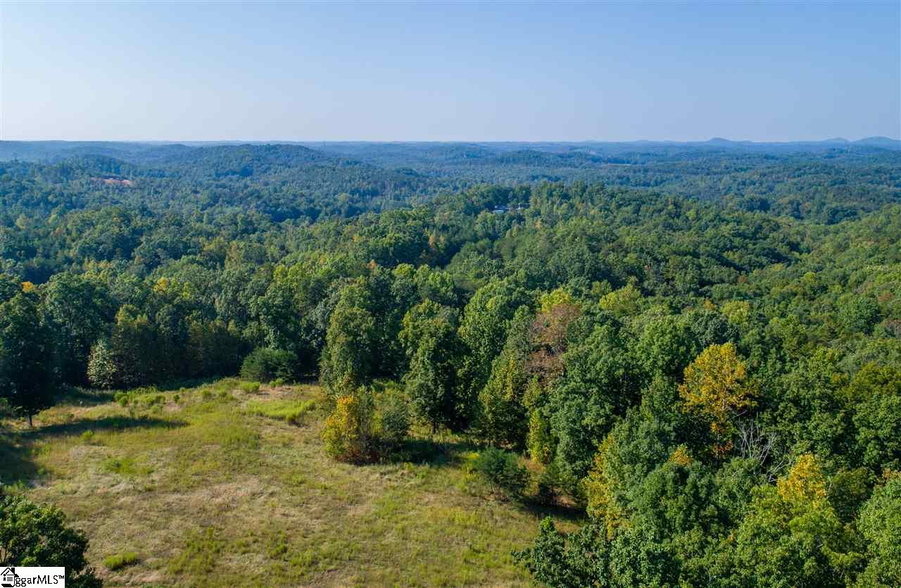 Sawblade Ridge Marietta, SC 29661 - Photo 3 of 3 Gallery Image 3