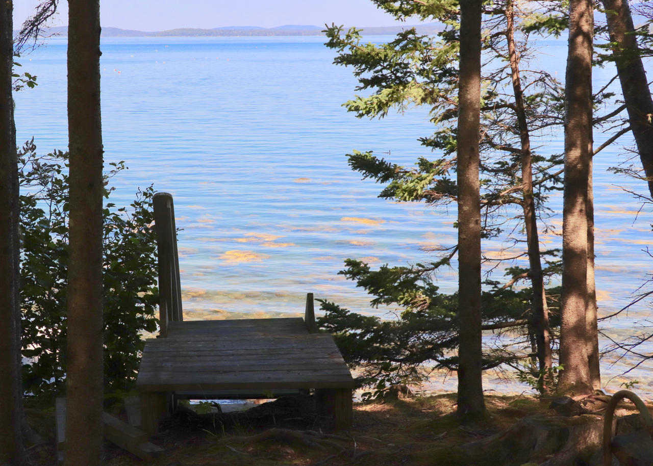 220 Flye Point Road Brooklin, ME 04616 - Photo 3 of 45 IMG_7880