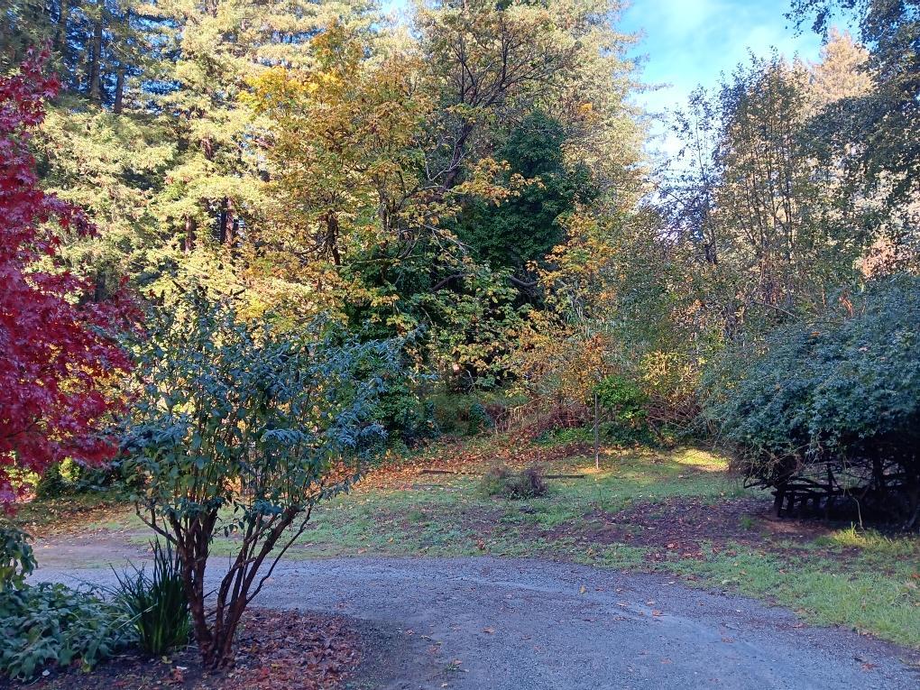 732 Eureka Canyon Road Watsonville, CA 95076 - Photo 28 of 28 a view of an outdoor space with yard