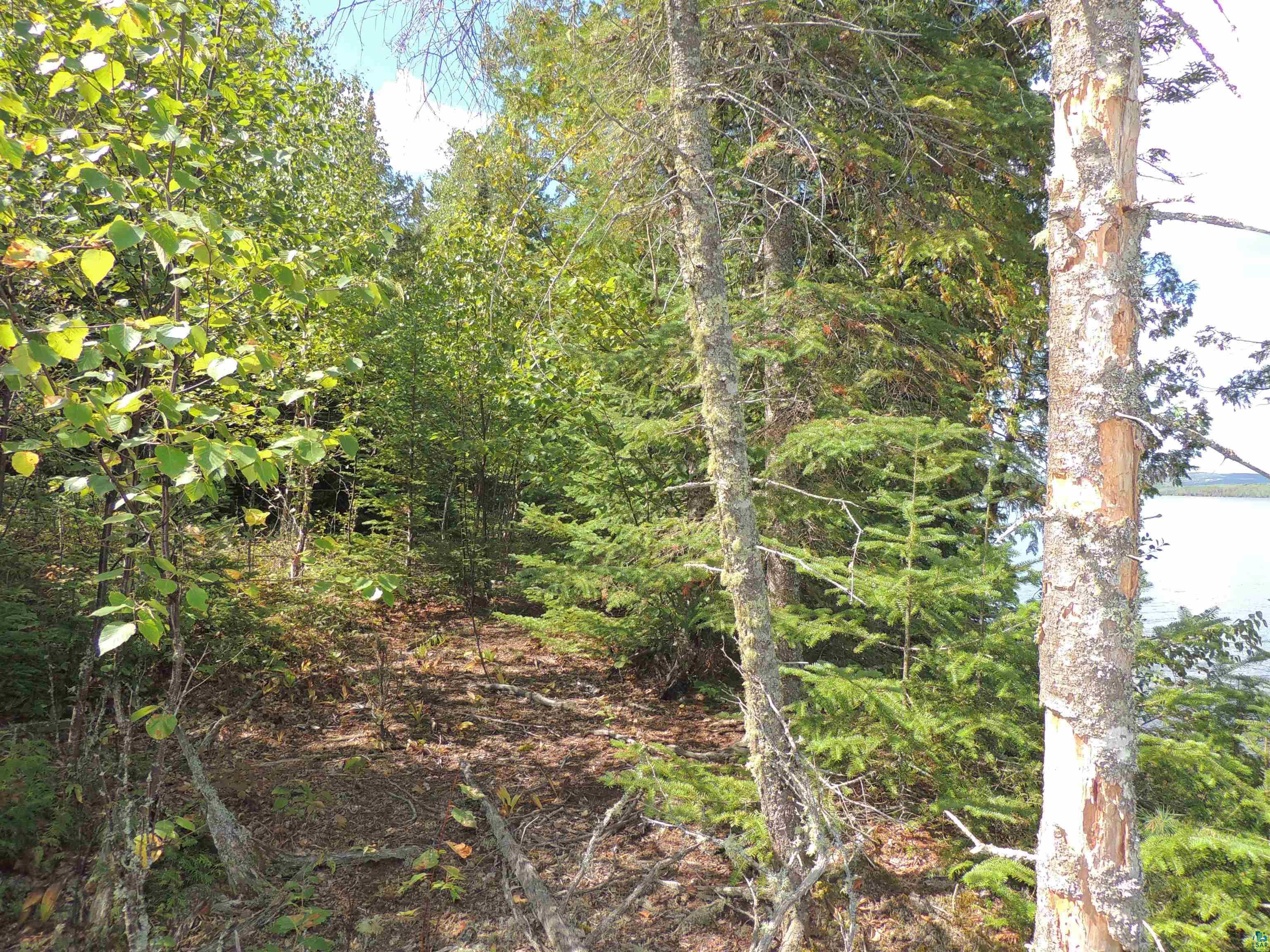463 South Gunflint Lake Road Grand Marais, MN 55604 - Photo 17 of 52