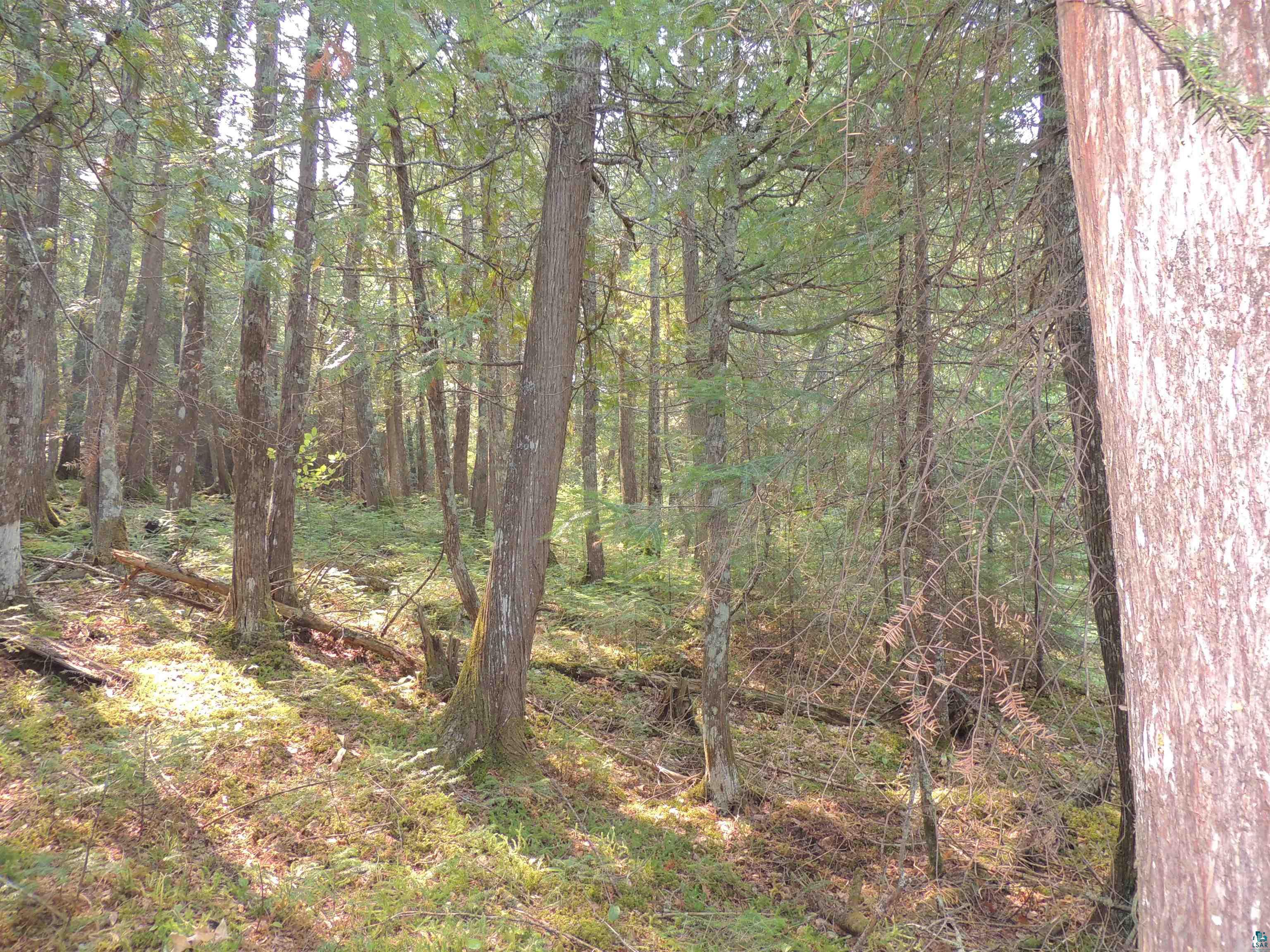 463 South Gunflint Lake Road Grand Marais, MN 55604 - Photo 18 of 52