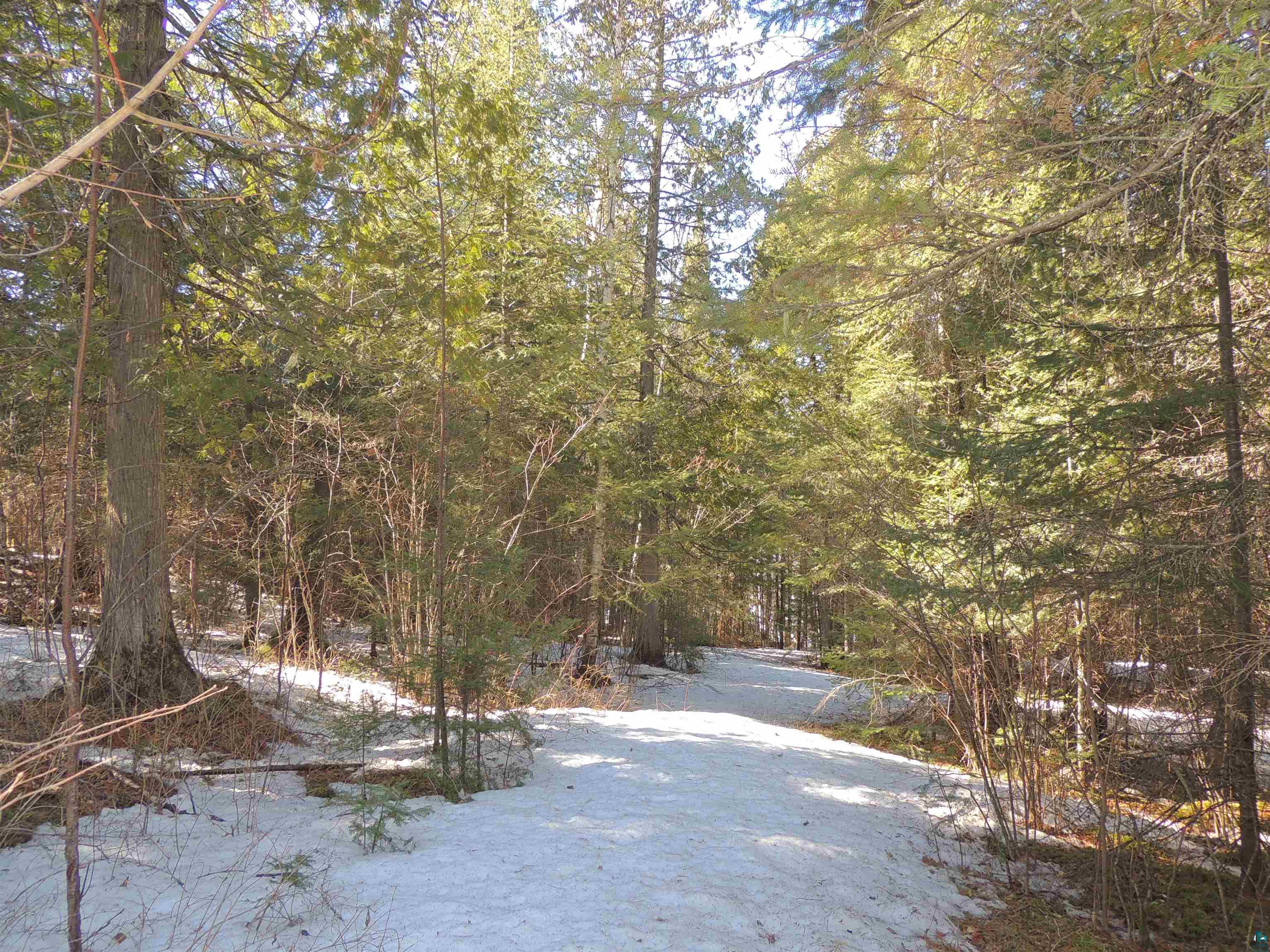 463 South Gunflint Lake Road Grand Marais, MN 55604 - Photo 20 of 52