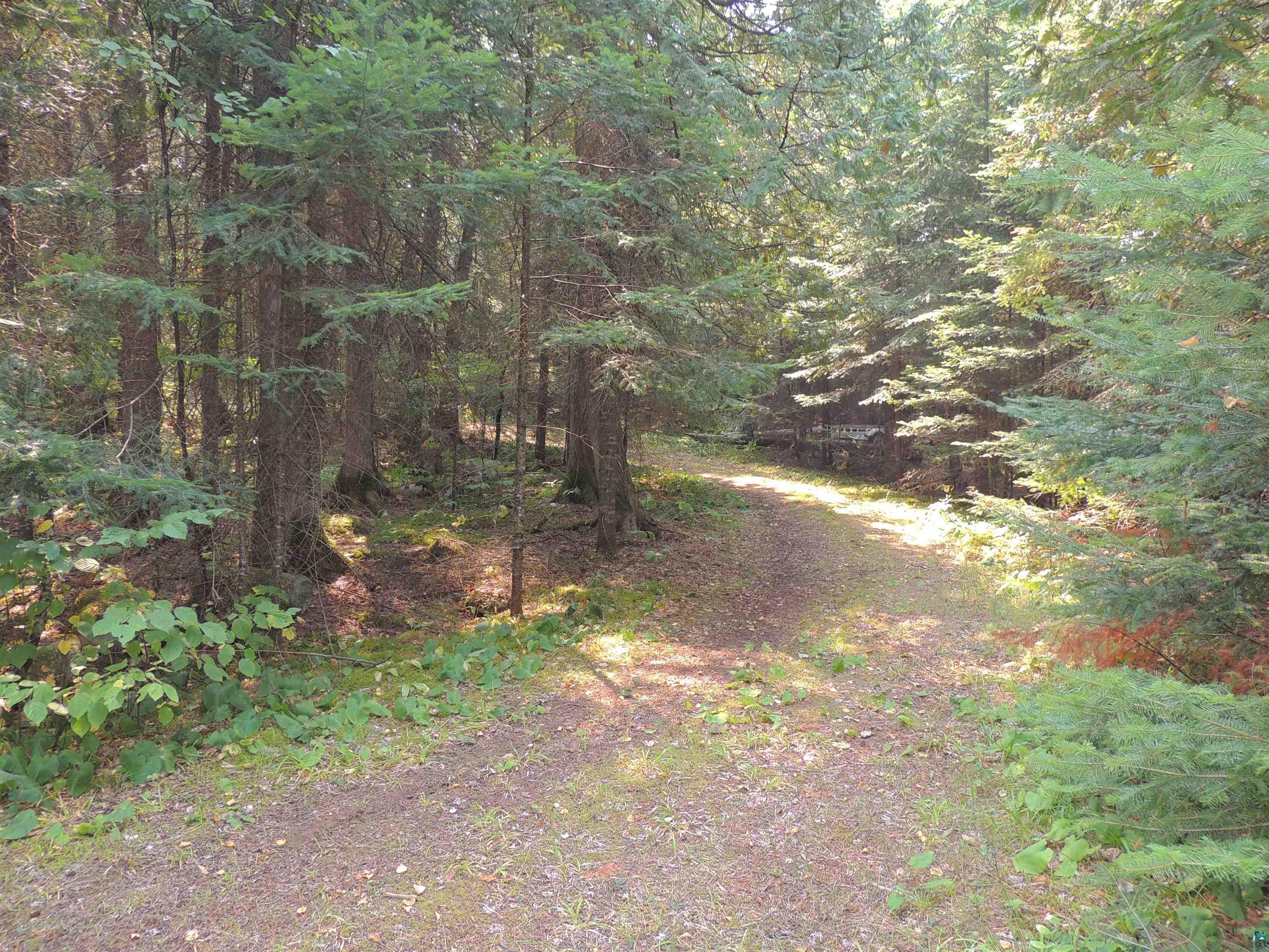 463 South Gunflint Lake Road Grand Marais, MN 55604 - Photo 21 of 52