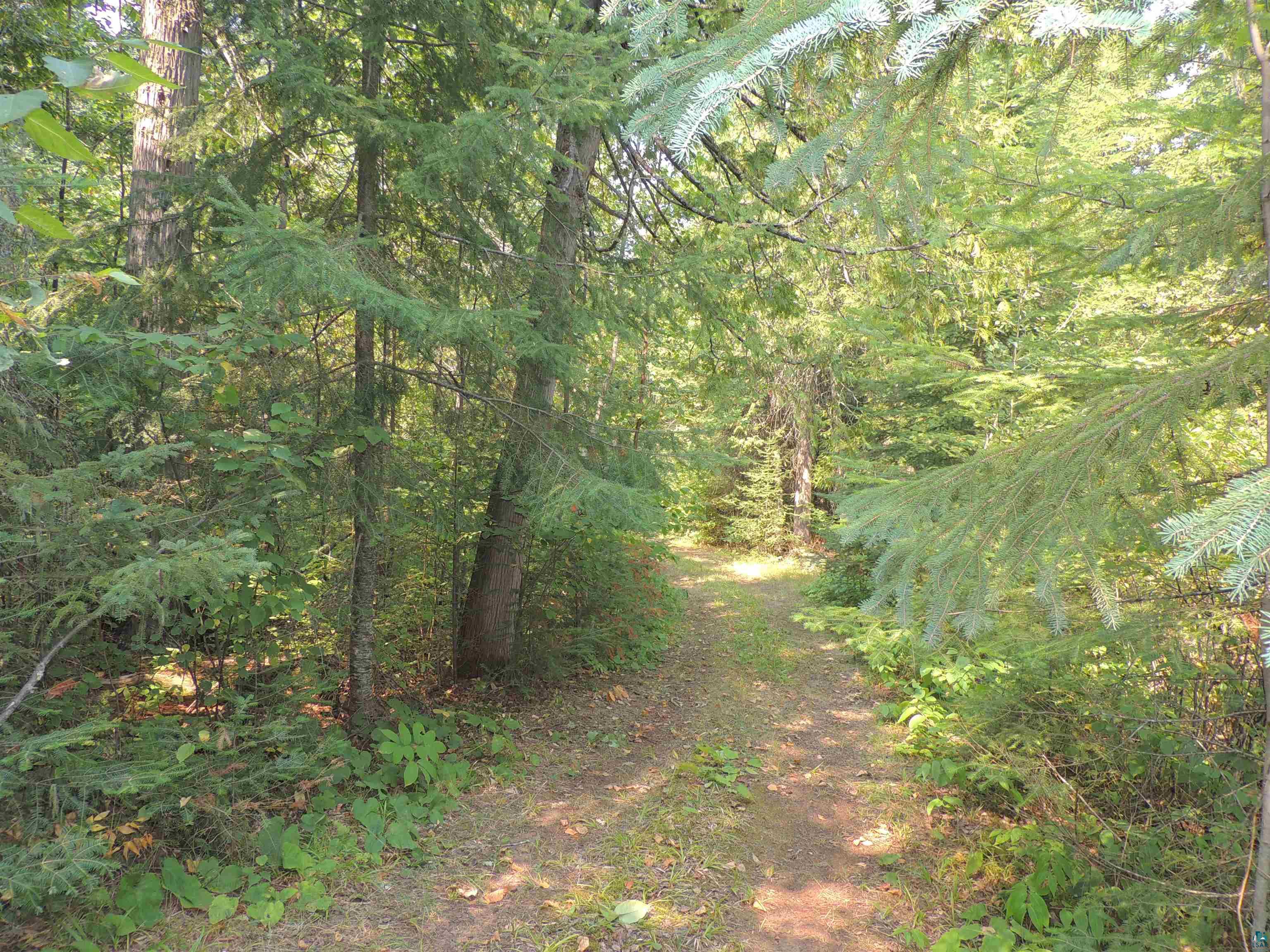463 South Gunflint Lake Road Grand Marais, MN 55604 - Photo 23 of 52