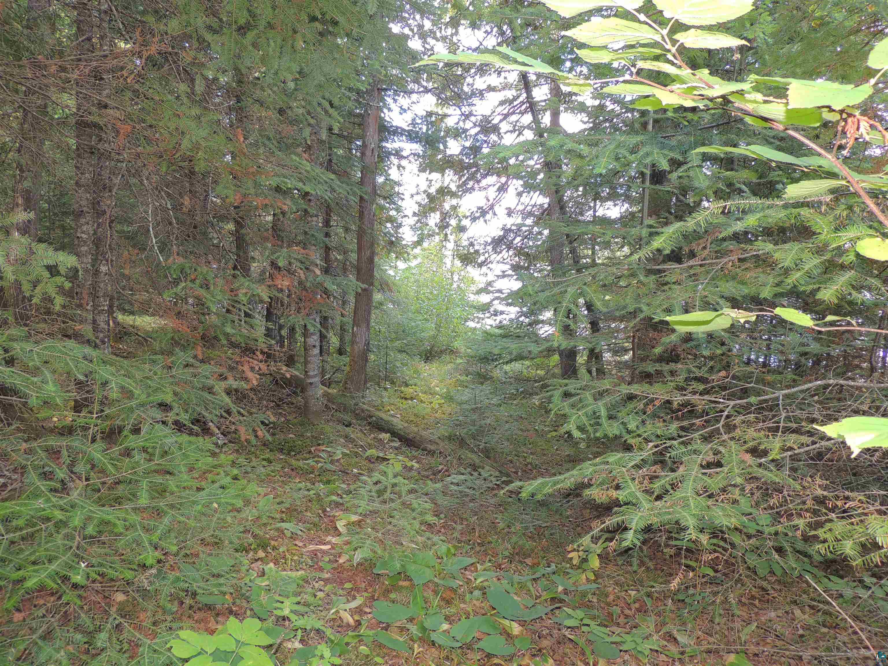 463 South Gunflint Lake Road Grand Marais, MN 55604 - Photo 26 of 52