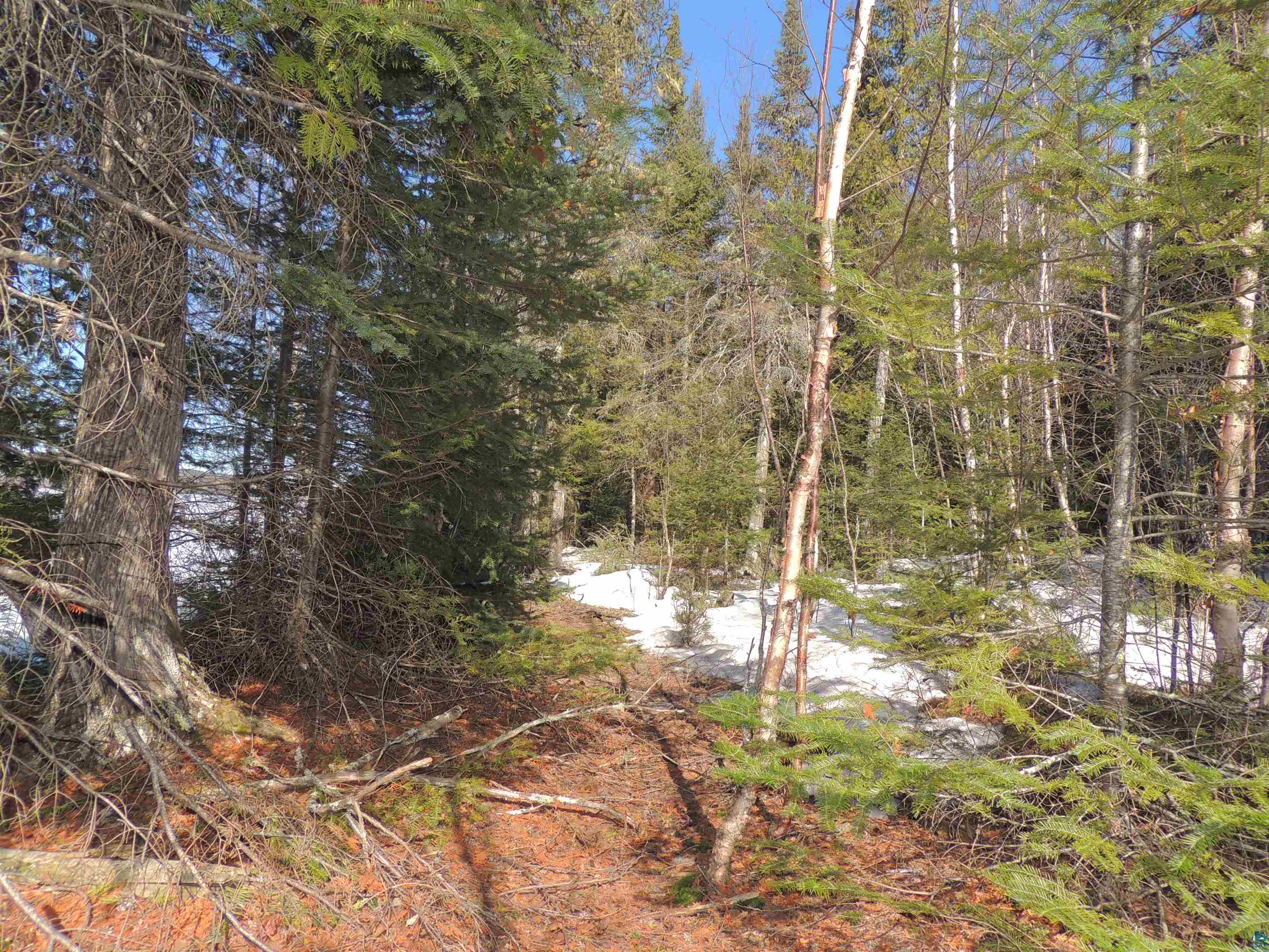 463 South Gunflint Lake Road Grand Marais, MN 55604 - Photo 33 of 52